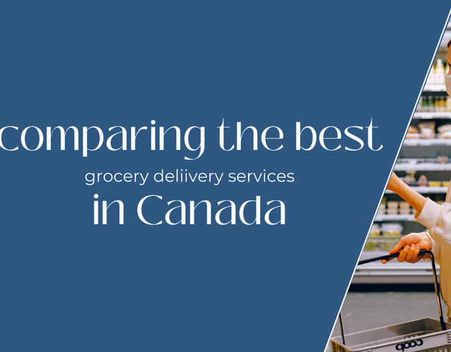 Don't brave the snow! Here are the top 5 grocery delivery services in Canada (updated Jan 2022)