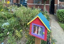 Peaceful, updated historic home, sweet neighborhood, close to BJC/SLUH/Wash U Med
