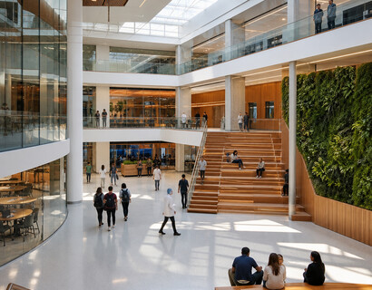 TMU School of Medicine: A Fresh Pulse for Medical Training in Ontario