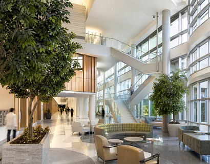 Find Your Calm Near London Health Sciences Centre - Victoria