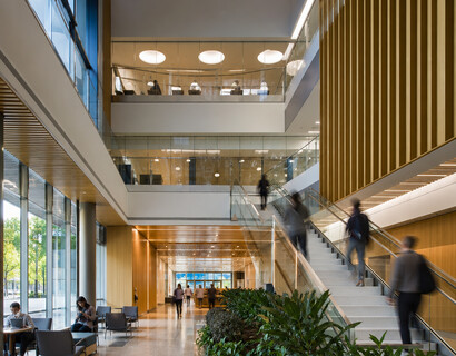 UBC Faculty of Medicine Vancouver Campus: A Province-Wide Launchpad for Future Doctors