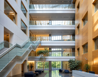 Albert Einstein College of Medicine Housing Guide: Bronx Training, Brooklyn Connections & Med Student Living