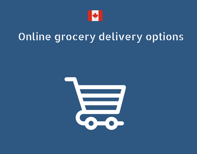 Online Grocery Deliveries in Canada: check out the food delivery opportunities!