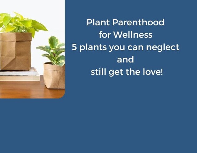 Plant Parenthood for Wellness! Five plants you can neglect and still get the love! #NWC