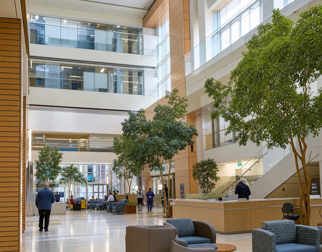 🏥 Medical Housing Near London Health Sciences Centre - Victoria: A Smarter Stay in London, Ontario